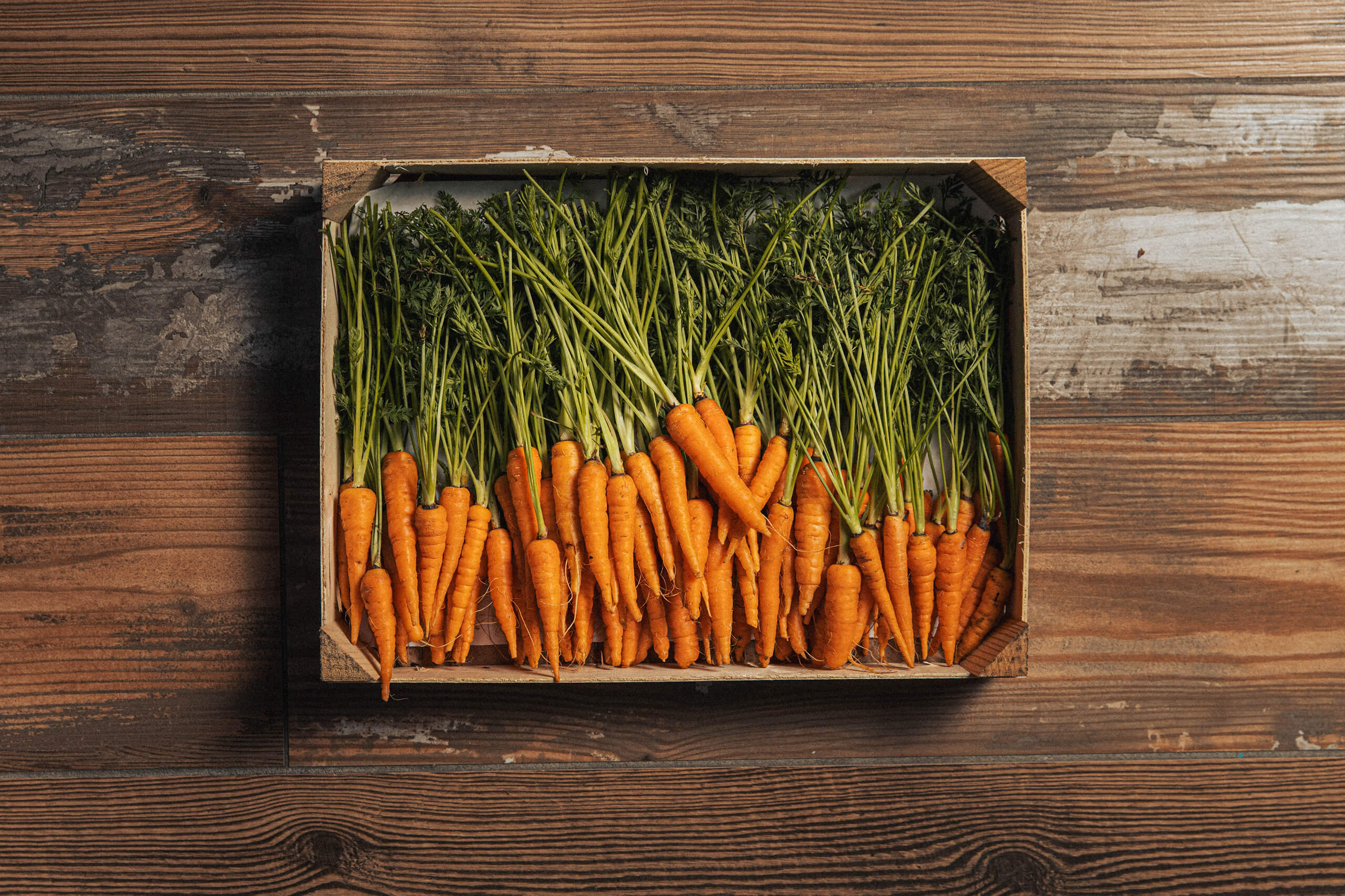 Bec Restaurant Paradou