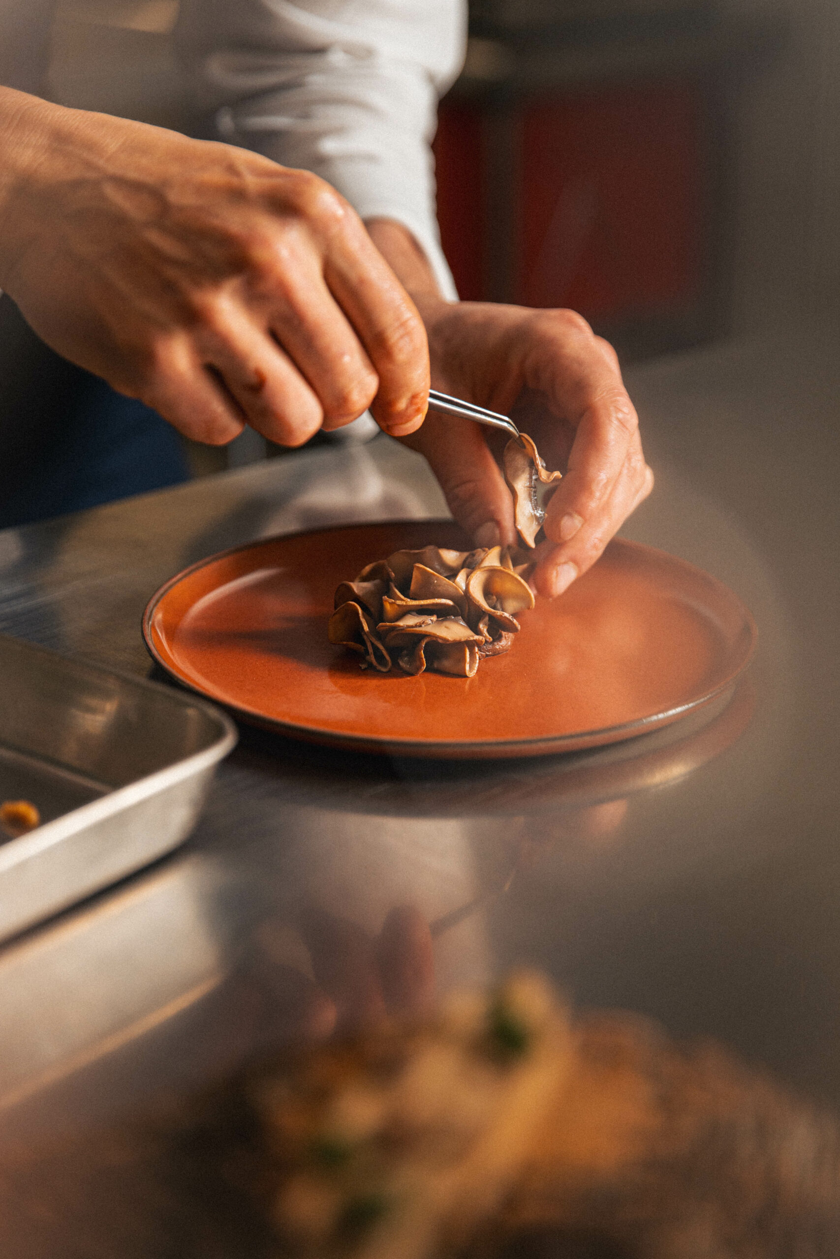 champignon_noisette_chocolat_quentin_lailler_bec_paradou