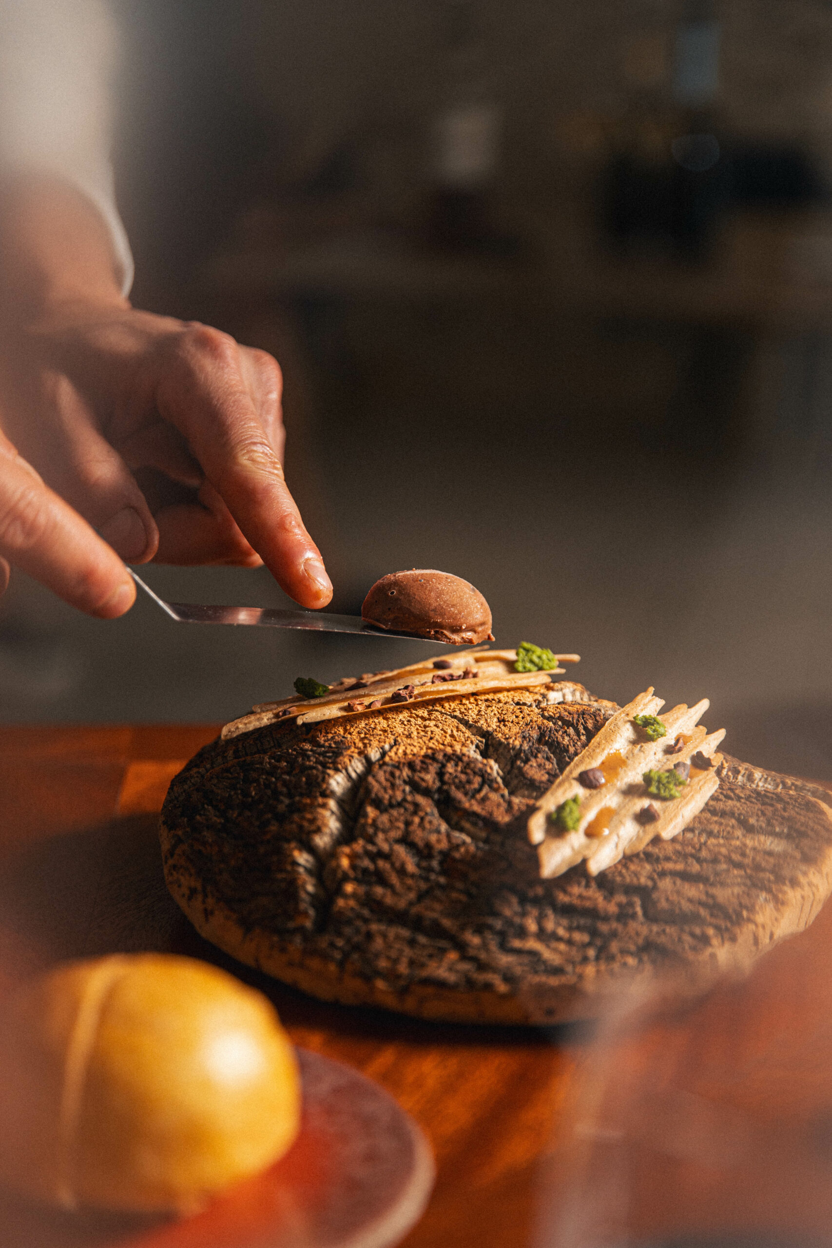 balade_en_foret_champignon_noisette_chocolat_quentin_lailler_bec_restaurant_gastronomique_alpilles